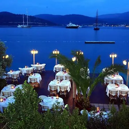 No81 Hotel