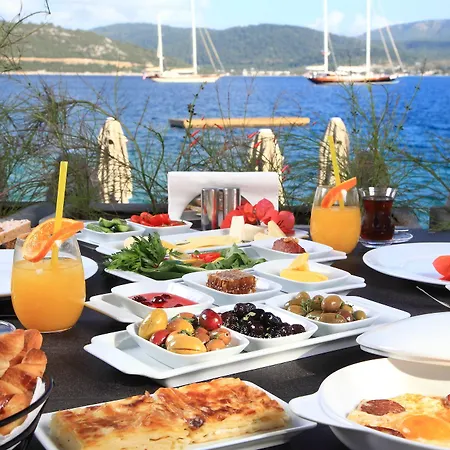 No81 Ξενοδοχείο Golturkbuku