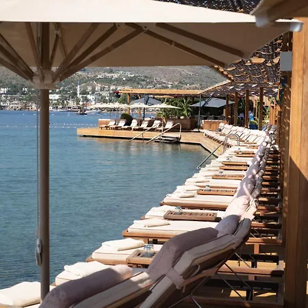 No81 Ξενοδοχείο