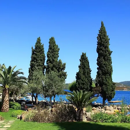 Ξενοδοχείο No81 5*