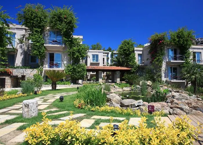 No81 5* 골터크부쿠