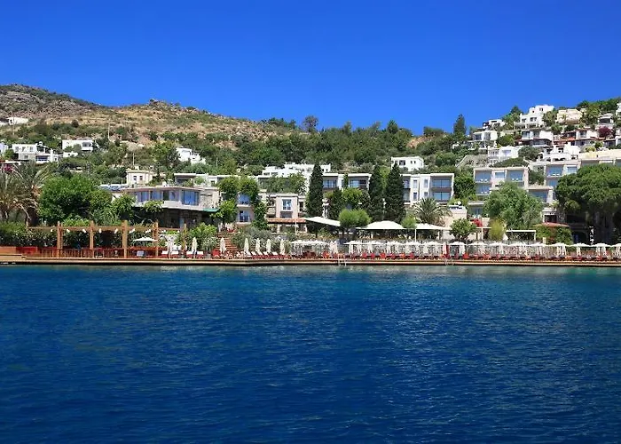 No81 5* 골터크부쿠