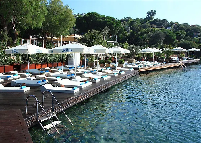 호텔 No81 골터크부쿠