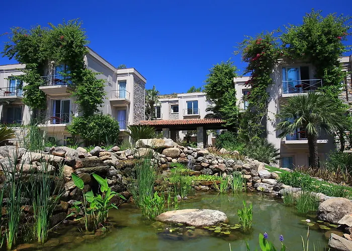 No81 5* 골터크부쿠